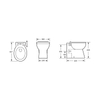 Bowl design bathroom Back To Wall Toilet--BTW306